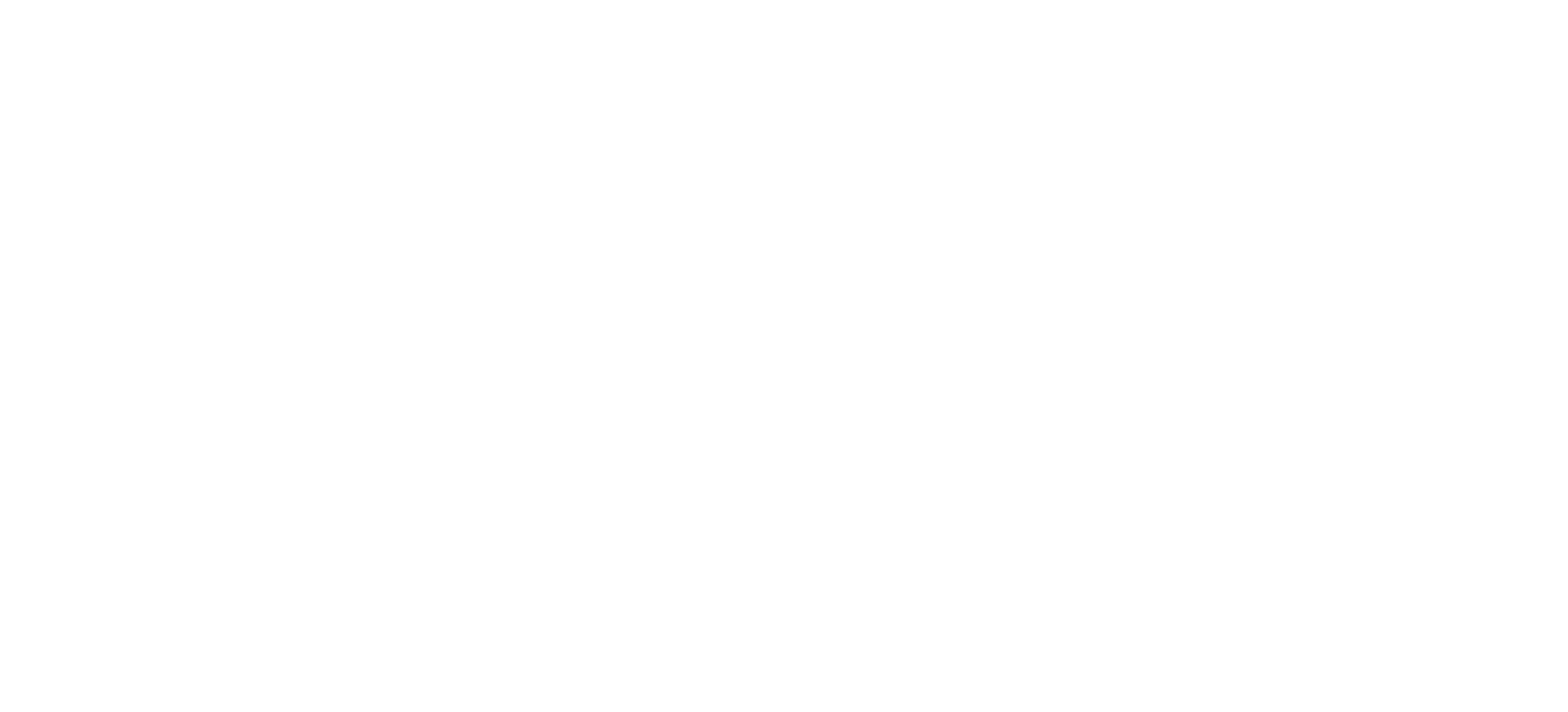 Logo White